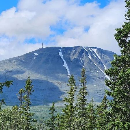 Ny Leilighet Med Flott Utsikt Til Gaustatoppen Rjukan Extérieur photo
