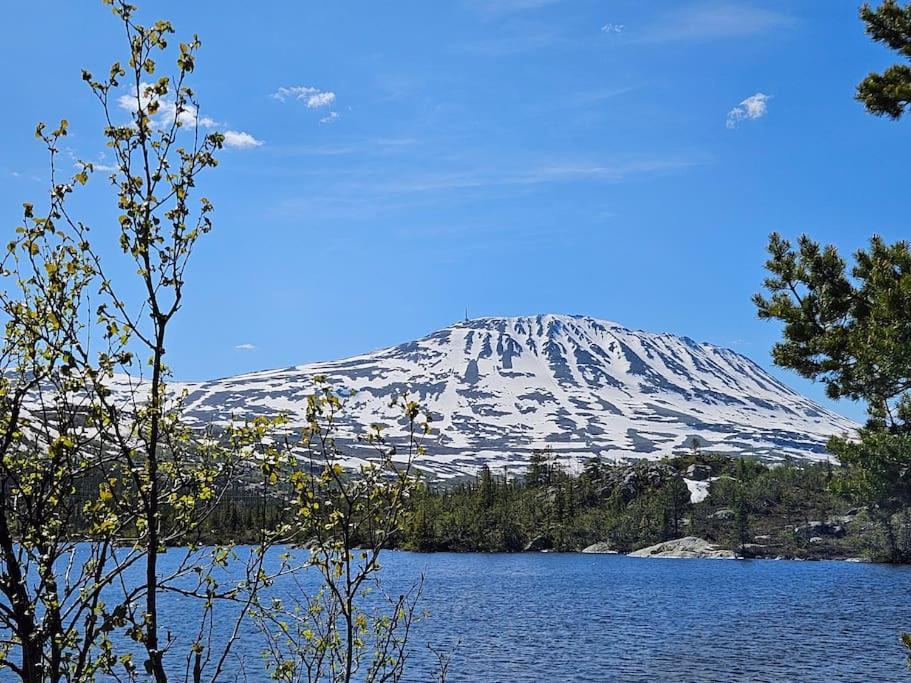Ny Leilighet Med Flott Utsikt Til Gaustatoppen Rjukan Extérieur photo