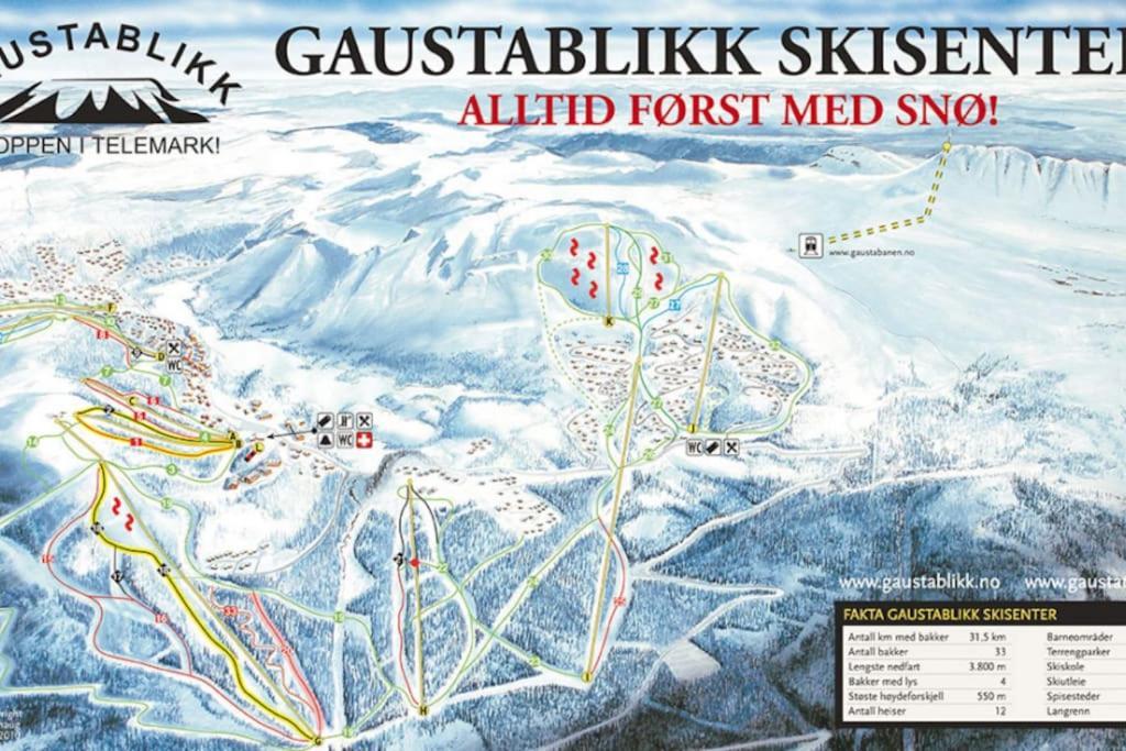 Ny Leilighet Med Flott Utsikt Til Gaustatoppen Rjukan Extérieur photo